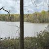 Listing Photo 118709