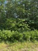 Listing Photo 119394